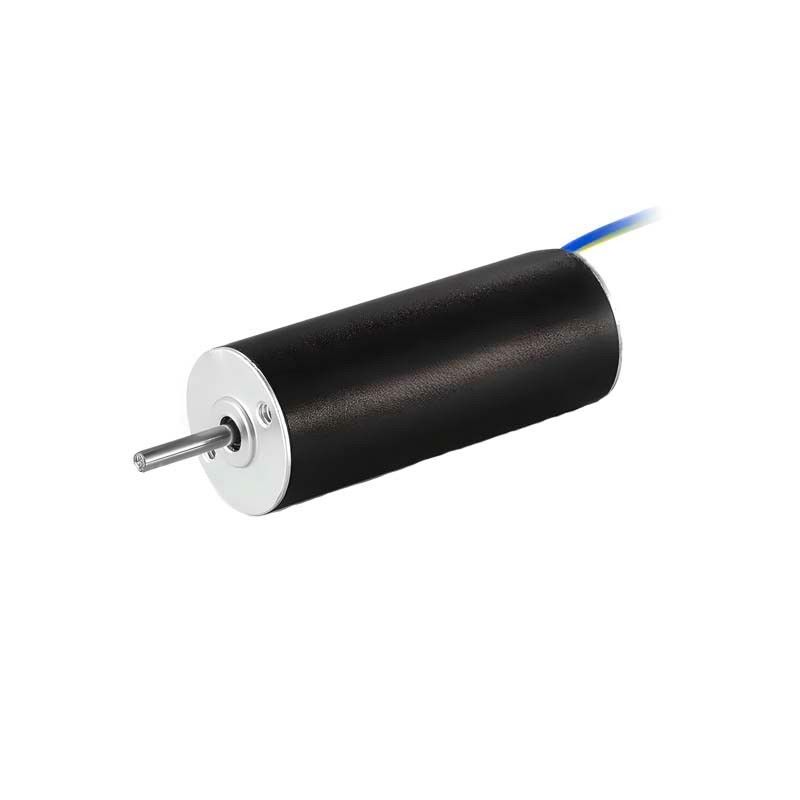 Custom Slotless Brushless Motor 12mm 6.5W 25310rpm Coreless DC Motor Untuk Pompa Medis