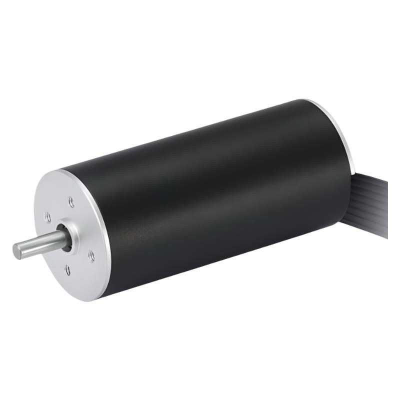 Kecepatan tinggi 22mm Slotless Brushless Motor 48V Coreless BLDC Motor 22W 13641rpm