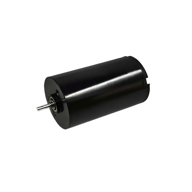 16mm Brushed DC Motor 1.57 Watt 9980rpm Electric Brush DC Motor 24V Disesuaikan