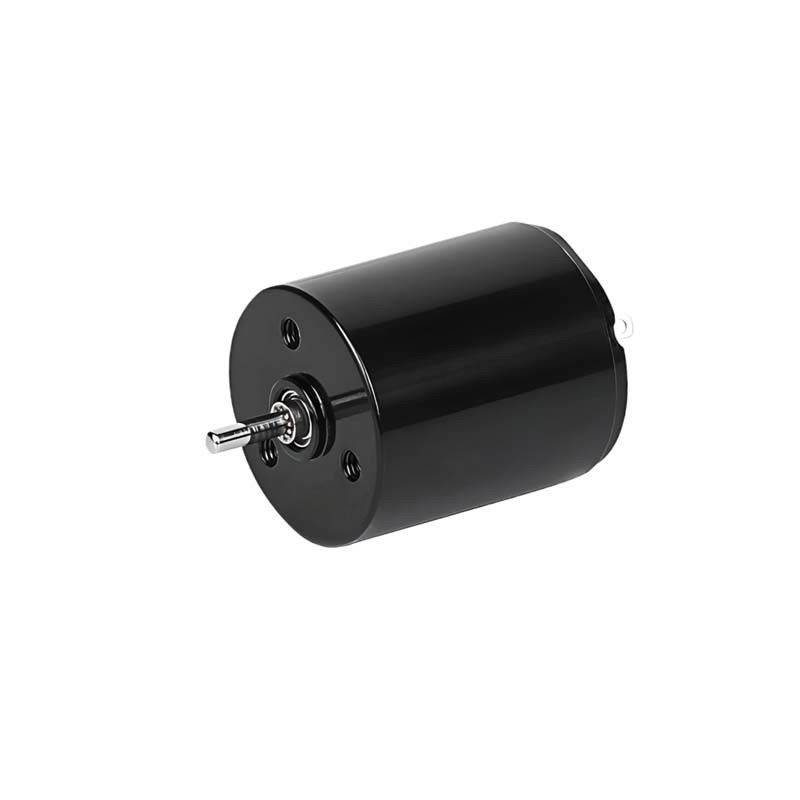 Micro Coreless Brush DC Motor 22mm 3.61 Watt 6900rpm 36V Disesuaikan
