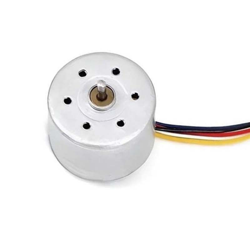 24mm Brushless DC Electric Motor 12V 24V Disesuaikan Sensor BLDC Motor untuk Pengikat Rambut Mini kipas listrik
